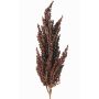 Ramo decorativo di sorgo WADDY con spighe, rosso scuro, 80cm
