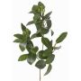 Ramo di mangrovia artificiale USTERA, germogli, difficilmente infiammabile, verde, 60cm