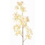 Ramo di orchidea Odontoglossum artificiale BELANIA, crema-fucsia, 75cm