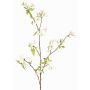 Ramo decorativo con fiori di pero CLIVE, fiori, crema-rosa, 115cm