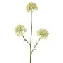 Ramo decorativo Allium ALIKIO, bianco, 65 cm, Ø 6,5 cm