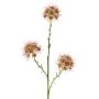 Ramo di Allium artificiale ZEBU, rosa, 65 cm, Ø 6 cm