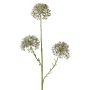 Ramo decorativo Allium ALIKIO, blu, 65 cm, Ø 6,5 cm