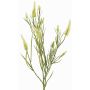 Ramo decorativo artificiale EUTIN con fiori, bianco-verde, 80 cm