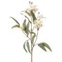 Ramo di eucalipto artificiale WANARA con fiori, bianco, 100 cm