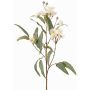 Ramo di eucalipto artificiale WANARA con fiori, bianco, 100cm, Ø2-6cm