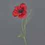 Anemone artificiale OKAPI, rosso, 55 cm, Ø 10 cm