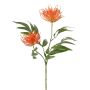 Ramo artificiale di tiglio VULKINTA con fiori, arancione, 75 cm, Ø 8-10 cm