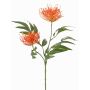 Ramo artificiale di tiglio VULKINTA con fiori, arancione, 75cm, Ø9-11cm