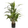 Cordyline artificiale ORMOS, verde, 80 cm