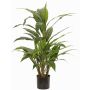 Cordyline artificiale ORMOS, verde, 80cm