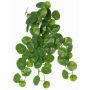 Pianta artificiale Stephania erecta ANOGIA su bastone, verde, 50cm
