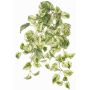 Pianta artificiale Pothos pendente SITIA, bastone, verde-bianco, 50cm
