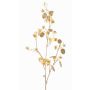 Ramo artificiale di lunaria in raso PINDUS con fiori, giallo-oro, 85cm
