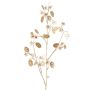 Ramo artificiale di lunaria in raso PINDUS con fiori, crema-oro, 85 cm