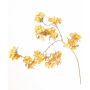 Ramo decorativo di ortensie in velluto PIRES, giallo-oro, 110 cm