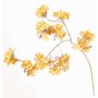 Ramo decorativo di ortensie in velluto PIRES, giallo-oro, 110cm