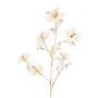 Ramo decorativo in velluto GAZERA, crema-oro, 115 cm