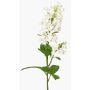 Fiore artificiale di lillà ADMIR, bianco, 80cm, Ø6-9cm