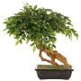 Bonsai Ficus Benjamina artificiale ALMIROS in vaso di terracotta, 60 cm
