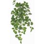 Edera artificiale POTTEN, bastoncino, verde-bianco, 80cm
