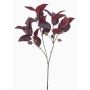 Ramo artificiale di eucalipto VIZIMIR con frutti, rosso bordeaux, 80 cm
