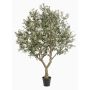 Olivo artificiale ZALIKI, tronco artificiale, frutti, verde, 250 cm