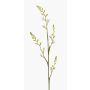 Fiore artificiale Montbretia KATHERYN, crema, 90 cm