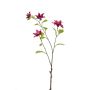 Ramo decorativo clematide RUHNA, rosa shocking, 75 cm
