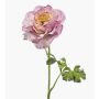 Fiore artificiale ranuncolo KRISTY, lilla-crema, 60 cm, Ø 10 cm