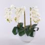 Orchidea phalaenopsis artificiale JASMIN in ciotola di ceramica, bianco, 40cm