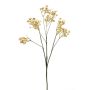 Gipsofila artificiale LITAGO, effetto secco, beige, 70 cm, Ø 1,5 cm