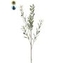 Ramo di ulivo artificiale BAKSON con frutti, crossdoor, 90 cm