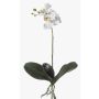 Orchidea phalaenopsis artificiale FAO su stelo, bianco, 45cm