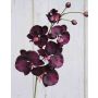 Ramo di orchidea phalaenopsis tessile XANDRA, viola scuro, 85cm