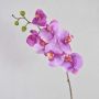 Ramo decorativo di orchidea phalaenopsis RICKY, rosa, 105cm