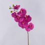 Ramo decorativo di orchidea phalaenopsis RICKY, fucsia, 105cm