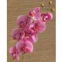 Ramo decorativo di orchidea phalaenopsis RICKY, fucsia, 105cm