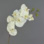 Ramo decorativo di orchidea phalaenopsis RICKY, bianco, 105cm