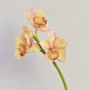 Ramo artificiale di orchidea cymbidium SERAPHINA, giallo-rosa, 45cm