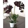 Orchidea phalaenopsis artificiale JASMIN in vaso di ceramica, rosso bordeaux, 40cm