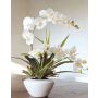 Orchidea phalaenopsis finta LILJA, agave, vaso di ceramica, bianco, 55cm