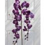 Ramo tessile di orchidea phalaenopsis PHILLINE, viola scuro, 150cm