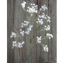 Velo da sposa artificiale CECILIA, bianco, 60cm, Ø1cm