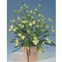 Cespuglio di margherite artificiale RABIA su stelo, giallo, 30cm