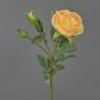 Rosa centifolia artificiale OLIVERA, giallo-albicocca, 30cm, Ø9cm