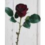 Rosa di velluto VASCA, bordeaux, 50cm, Ø6cm