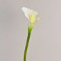 Calla sintetica SUSANA, bianco, 70cm, 8x12cm