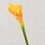 Calla artificiale EVELINE, arancione, 70cm, 5x8cm