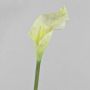 Calla sintetica CRISTINA, bianco-verde, 105cm, 14x27cm